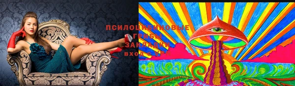 героин Абаза