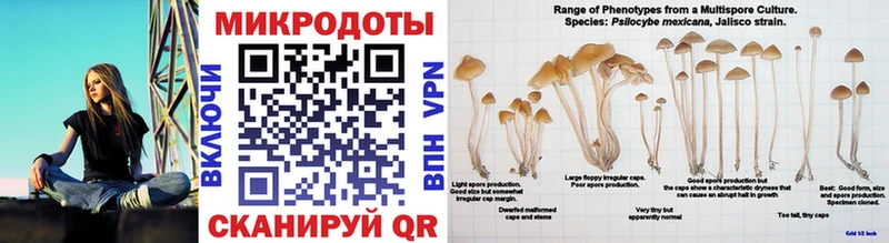 что такое наркотик  Партизанск  Псилоцибиновые грибы Psilocybine cubensis 